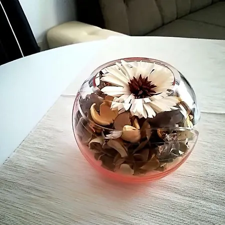 شقة Cocoa *